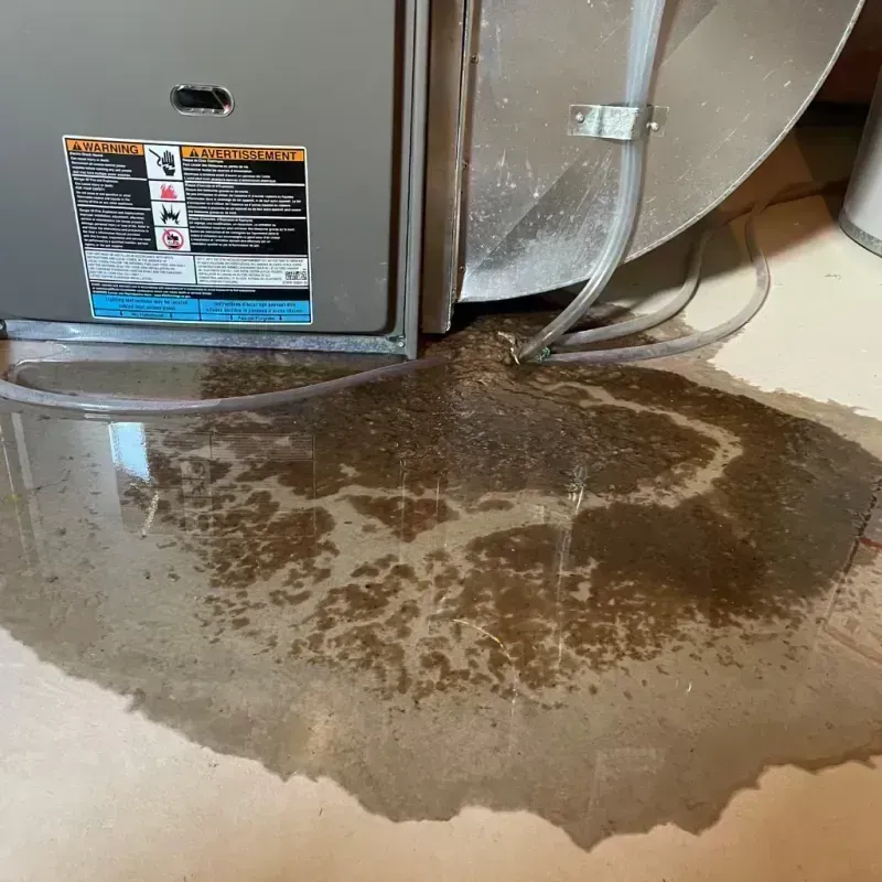 Appliance Leak Cleanup in Roanoke County, VA